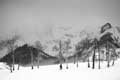 Will Brewster | Telluride Aspens