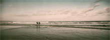 Will Brewster | Santa Barbara Surf